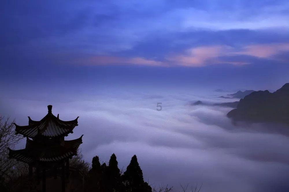 刘德华易烊千玺周冬雨等出席中国电影家协会第十一次全国代表大会