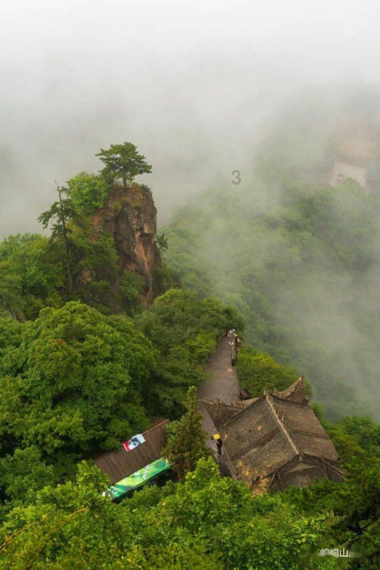 大量动植物遗存揭秘远古人类生活图景