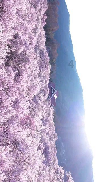 女孩巴厘岛度假