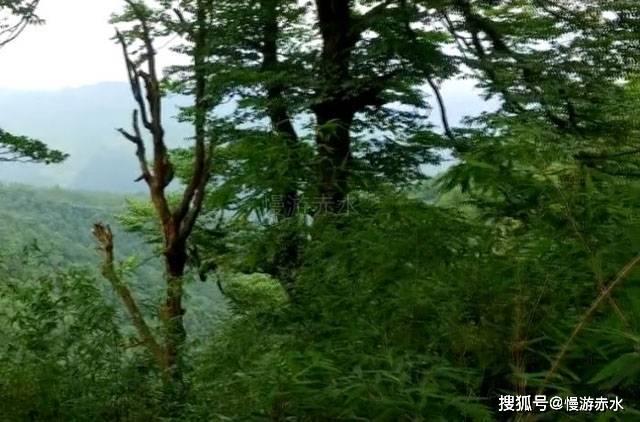 中国C919试飞成功后,有何重要意义,为什么-有问必答平台