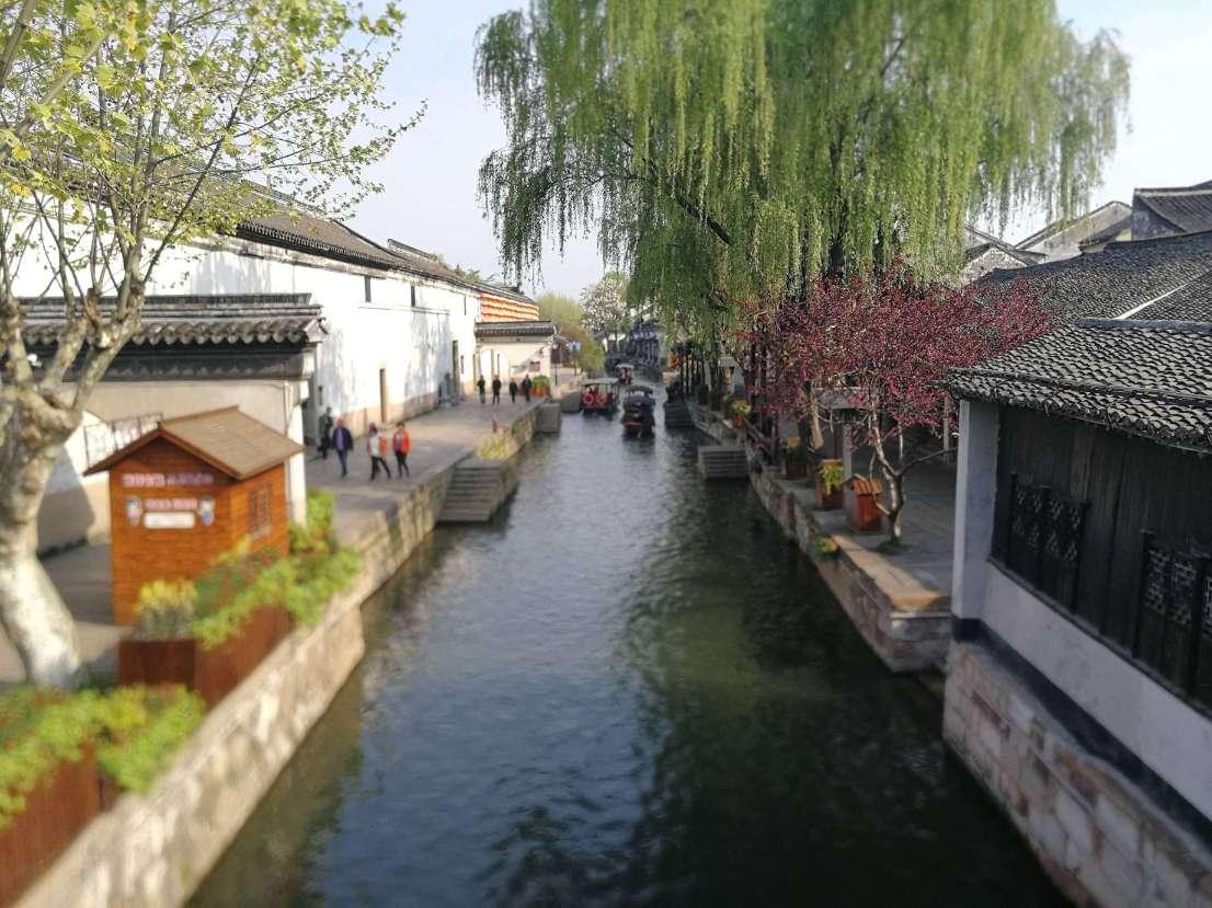 恐龙绝地逃生