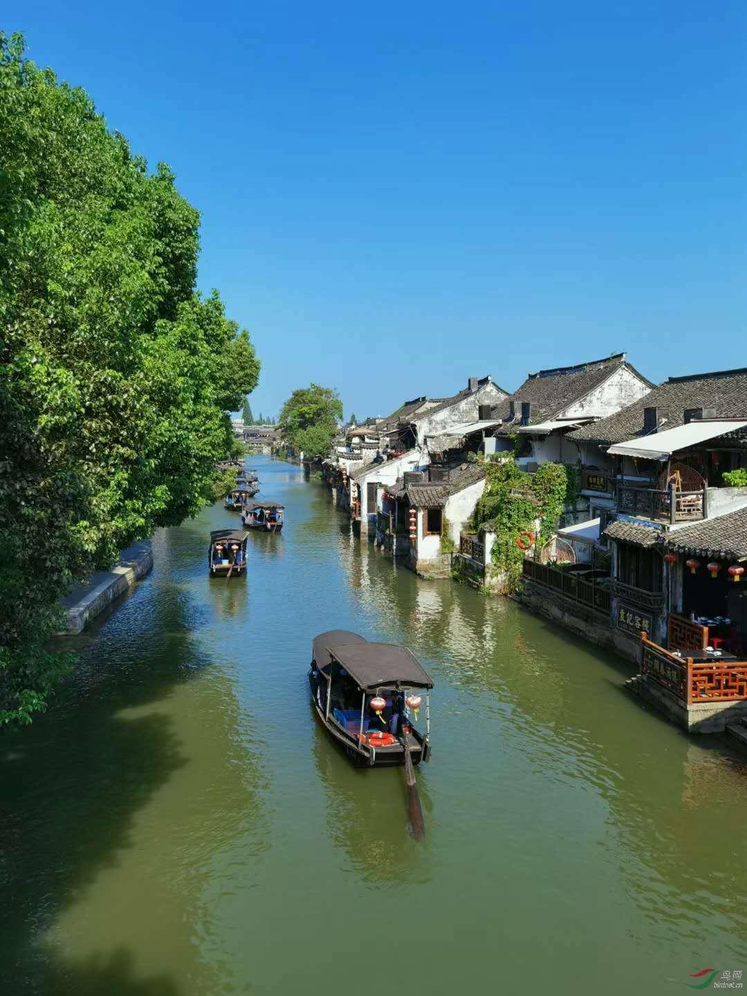 弹弹堂大冒险